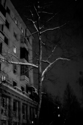 За окнами - ночь (Москва, Щукино, Живописная ул.)