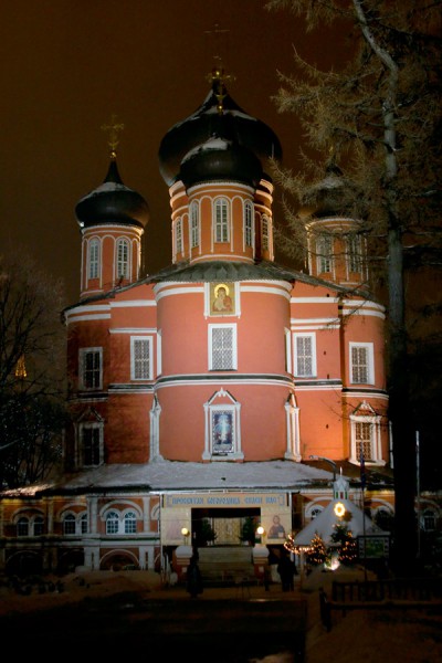 Большой собор Донского монастыря