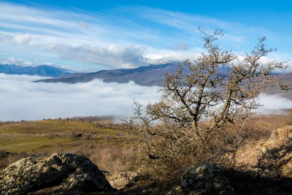 Весенняя синева. Здесь, на южных склонах Крымских гор, начало февраля - уже вполне весна.